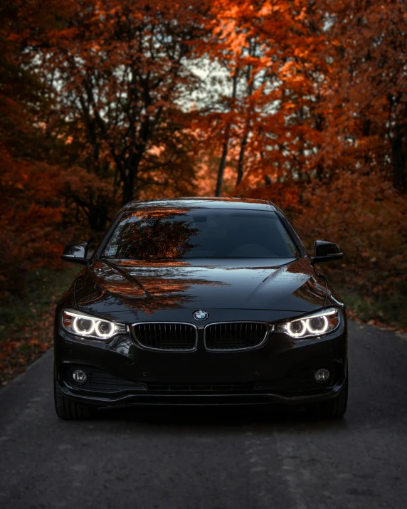 car parked on the side of the road during autumn