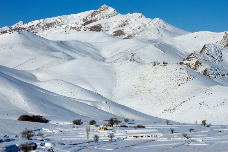 a snowy mountain landscape is featured as a backdrop