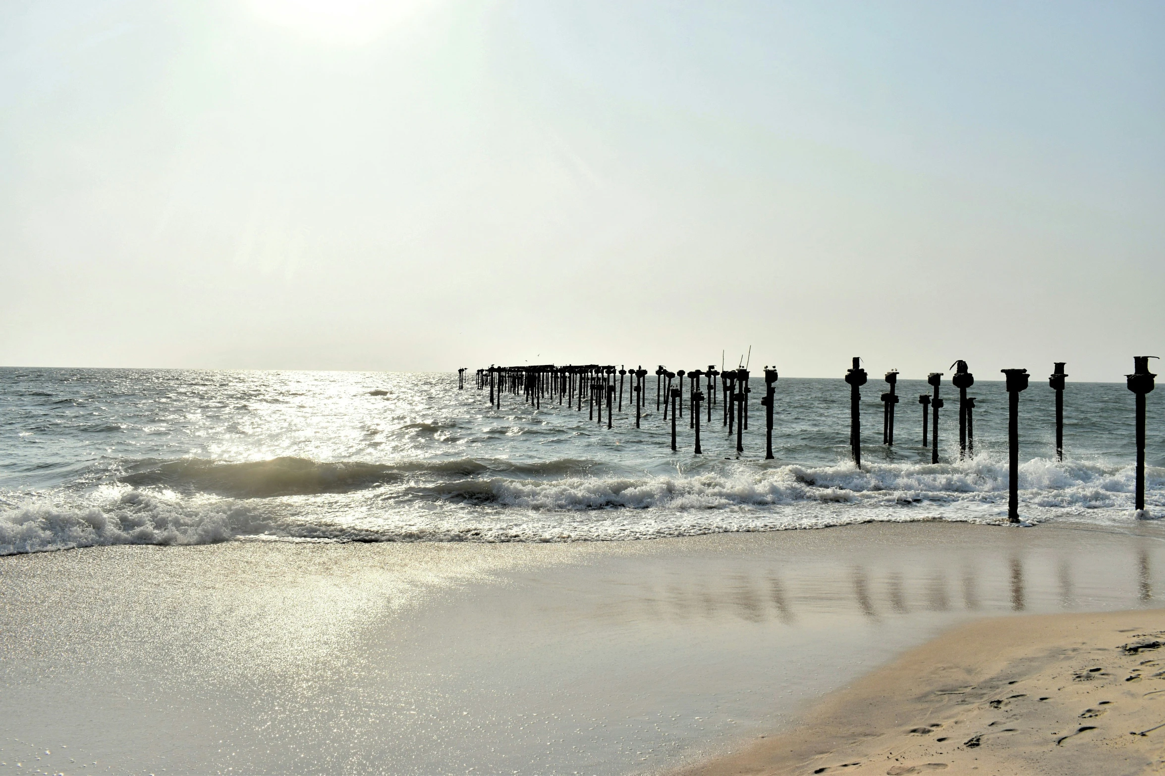 a line of wooden poles sticking out of the ocean