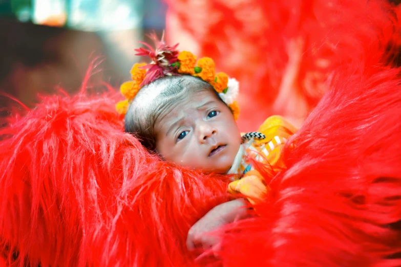 a  is laying on her belly in bright red feathers