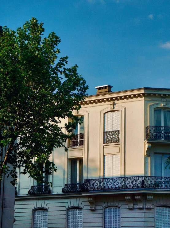 the trees are next to a large building