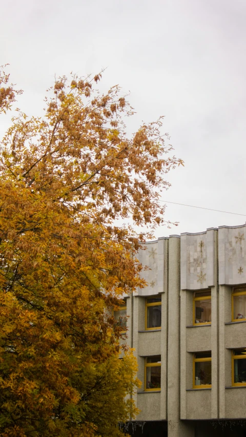 a street light next to a building and tree