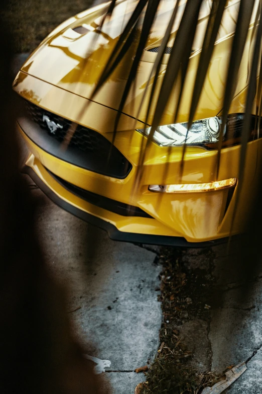 a close up image of a sports car hood