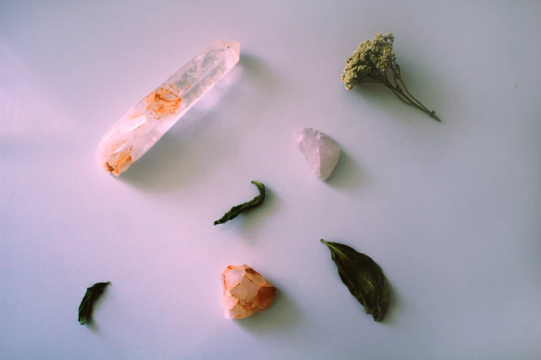 a group of crystals and plants on a white surface
