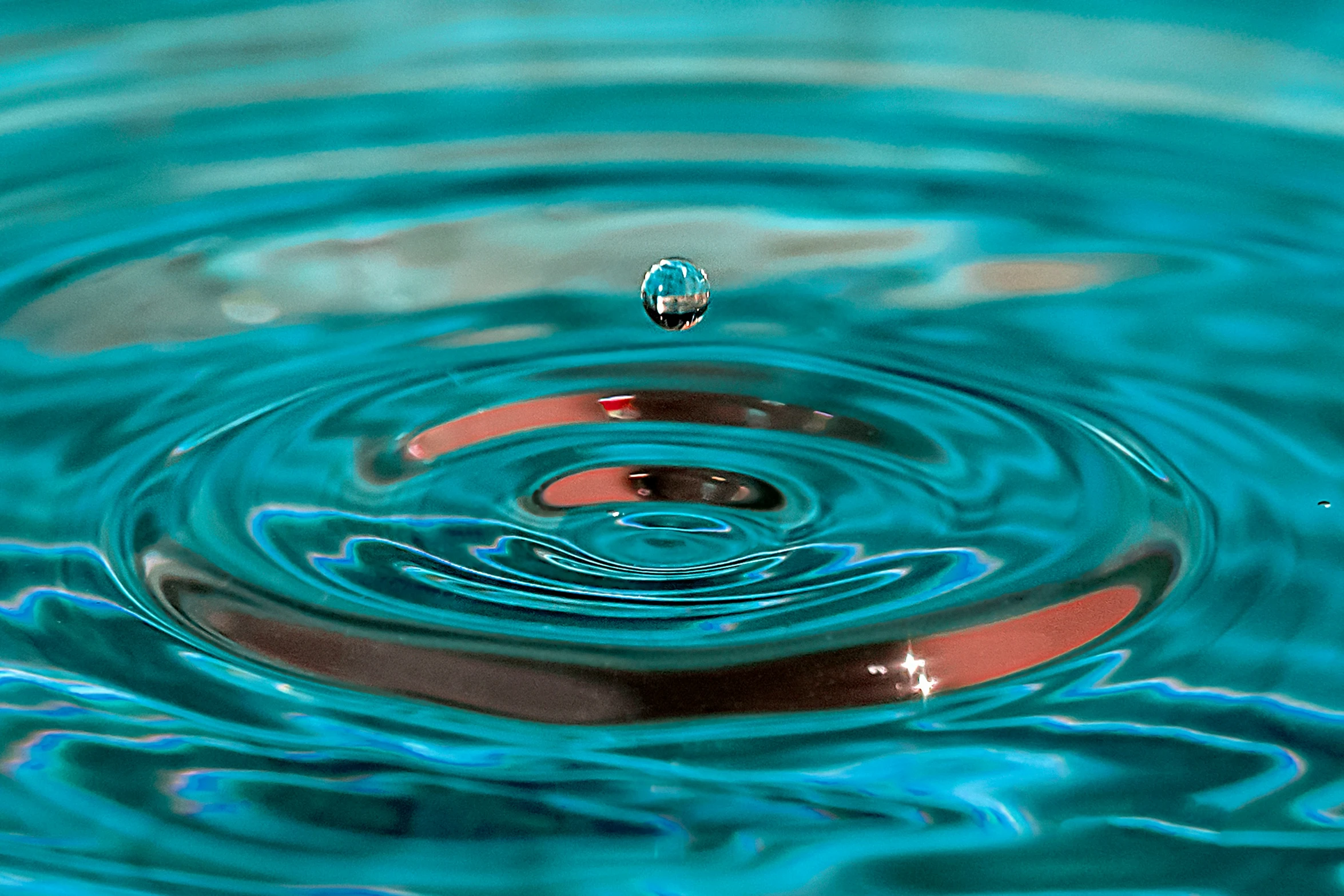 a large group of droplets are floating in the water