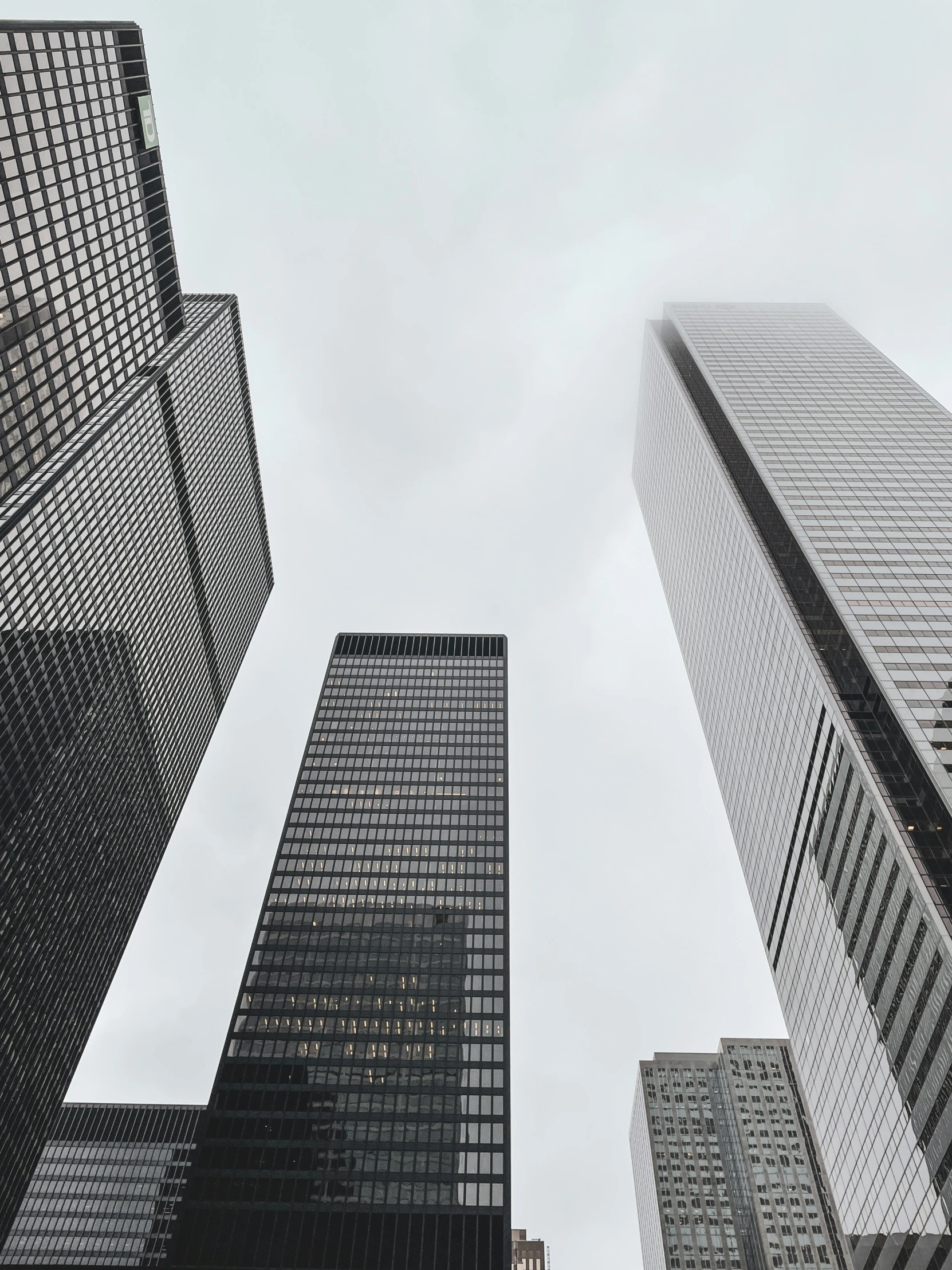 a po looking up at some very tall buildings