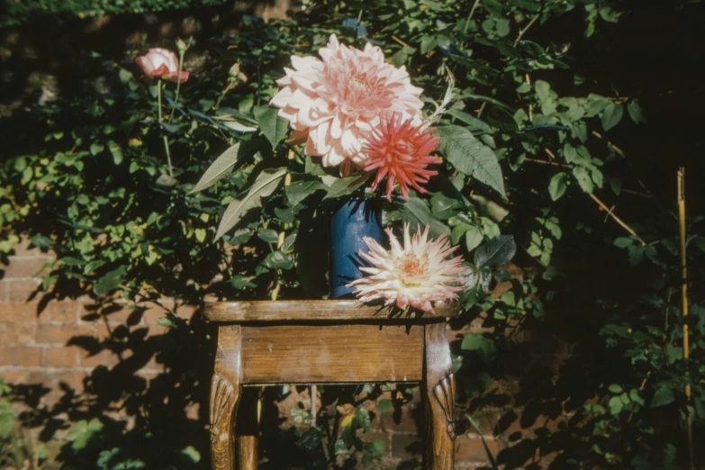 two flowers in a vase on top of a small wooden chair