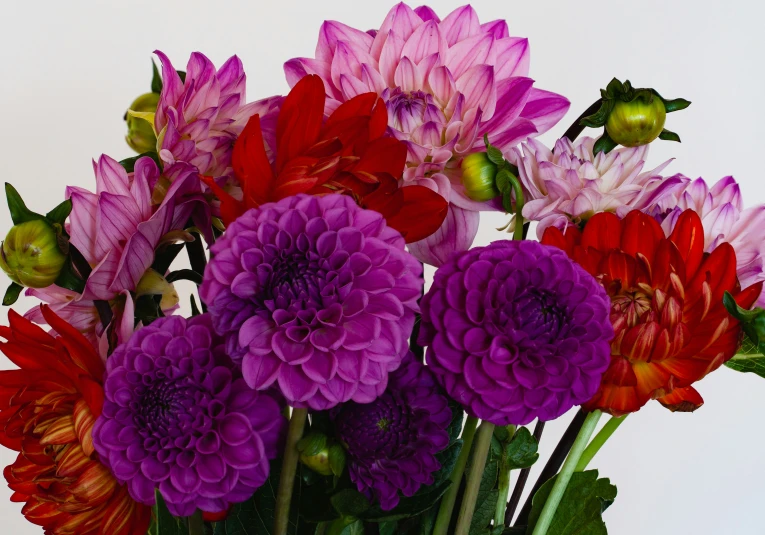 an assortment of flowers displayed in a vase