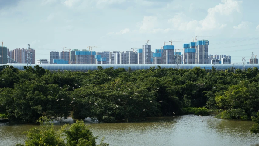 a body of water with a skyline of buildings in the background