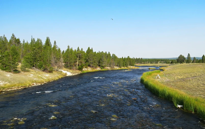 a small river surrounded by trees in a grass and gravel area