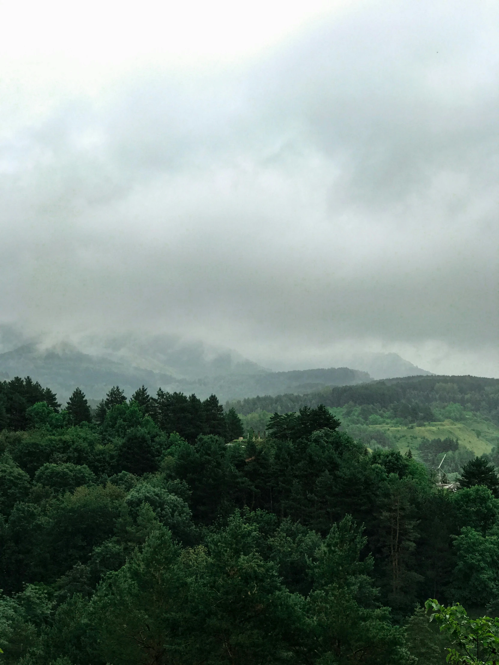 trees line the hill in the background as clouds hover over them