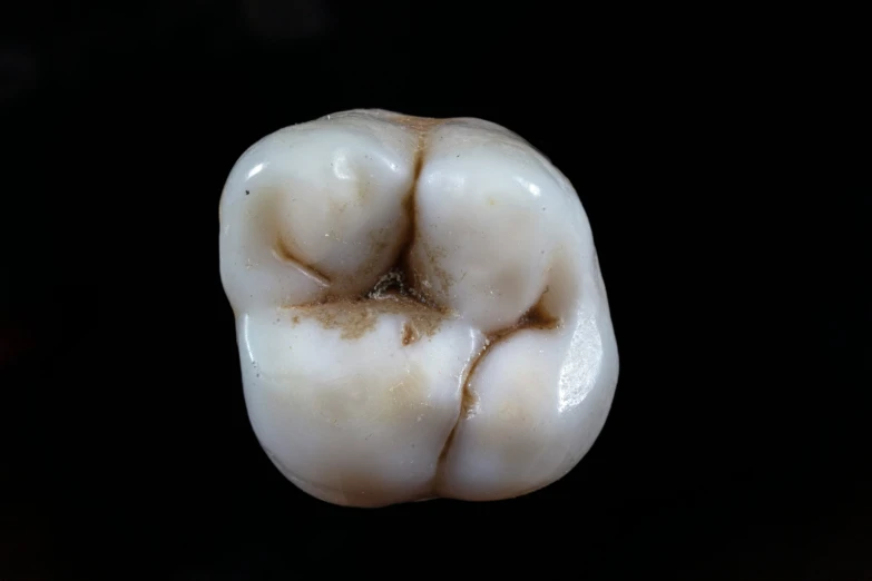 a picture of a gum against a black background