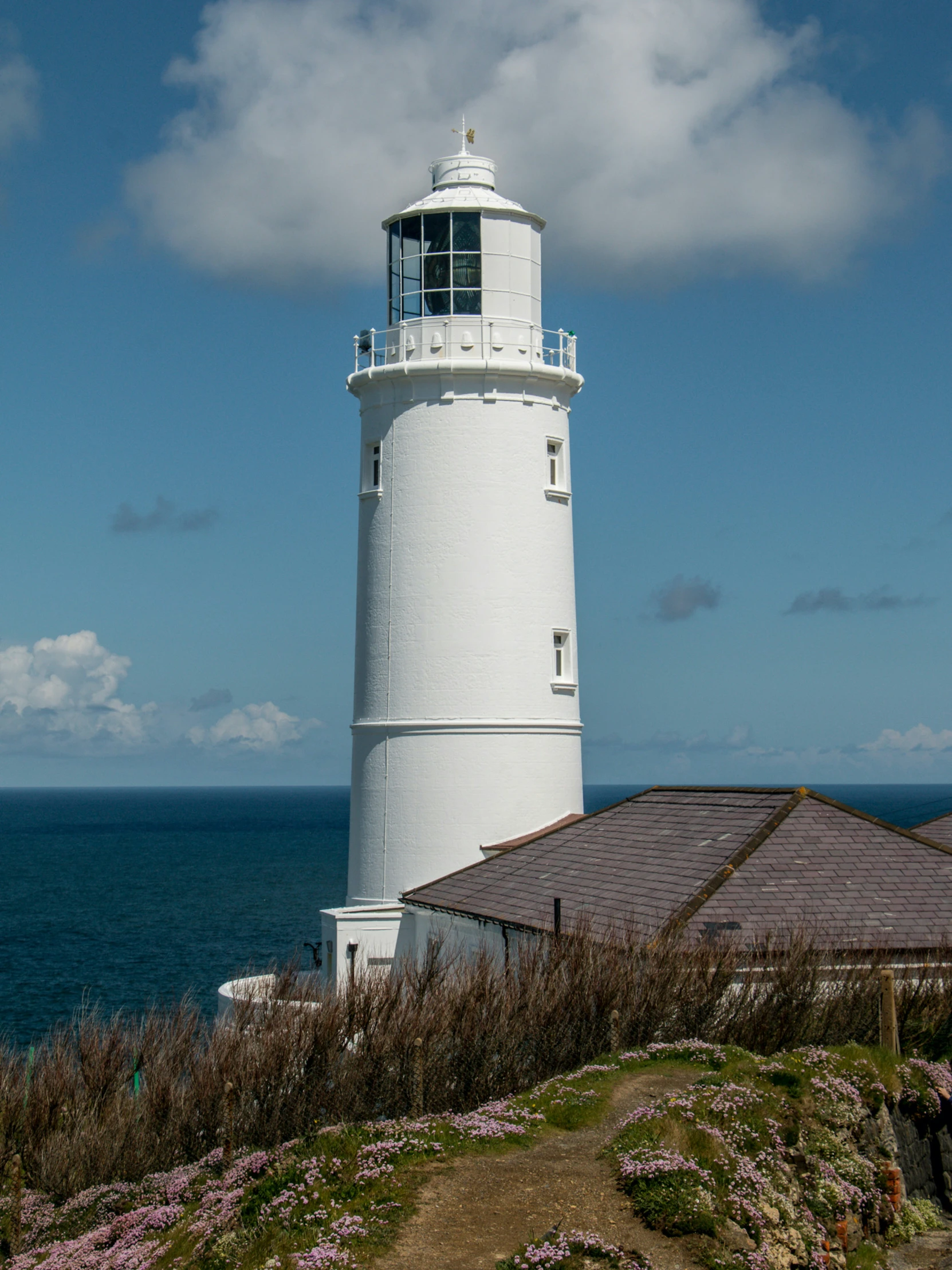 the lighthouse overlooks the blue ocean, with wispy pink flowers in bloom