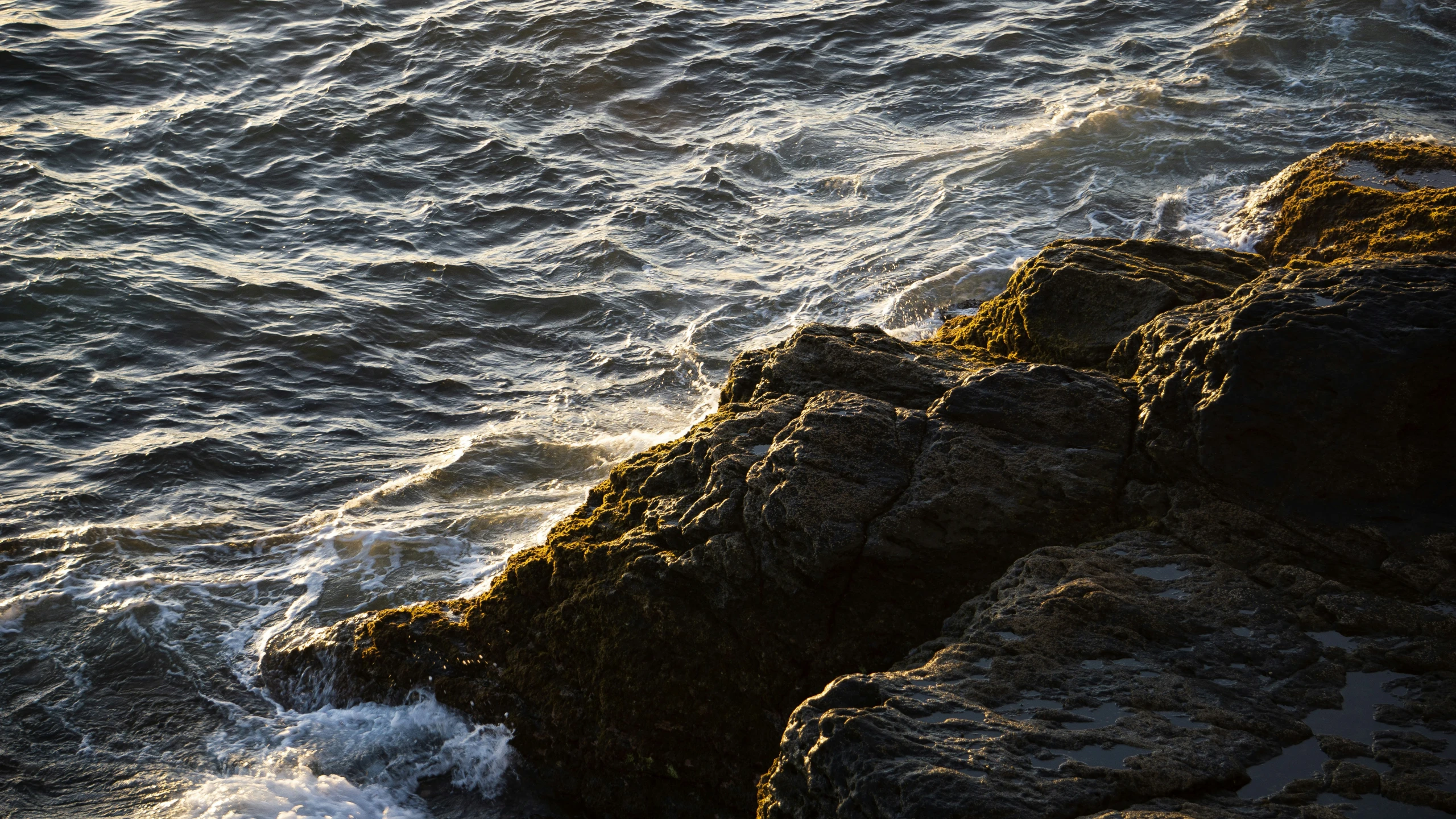 a stone wall along the water with an orange bird sitting on top of it