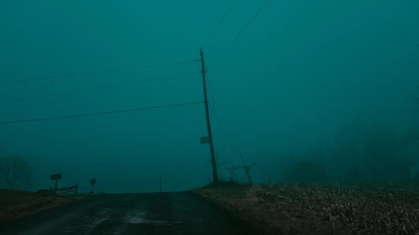 the fog is in and driving on a road