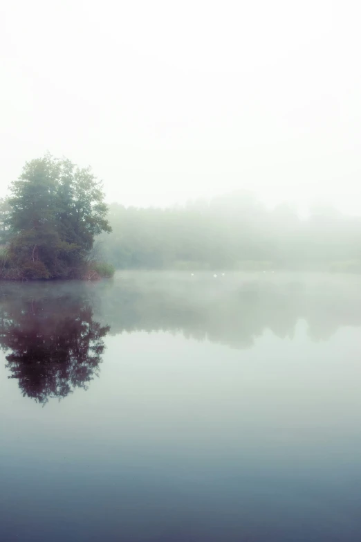 foggy, serene lake with a small tree in the middle