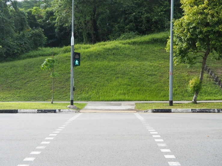 an empty road and several street signs in the middle of it