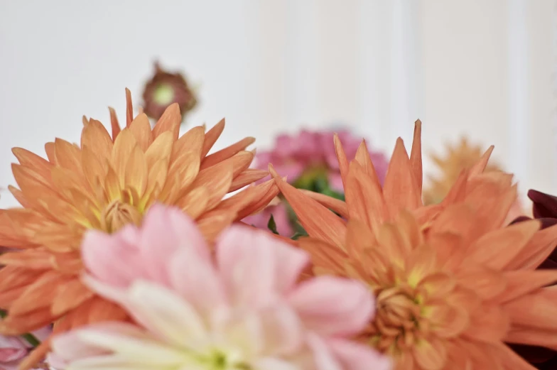 some very pretty flowers in a glass vase