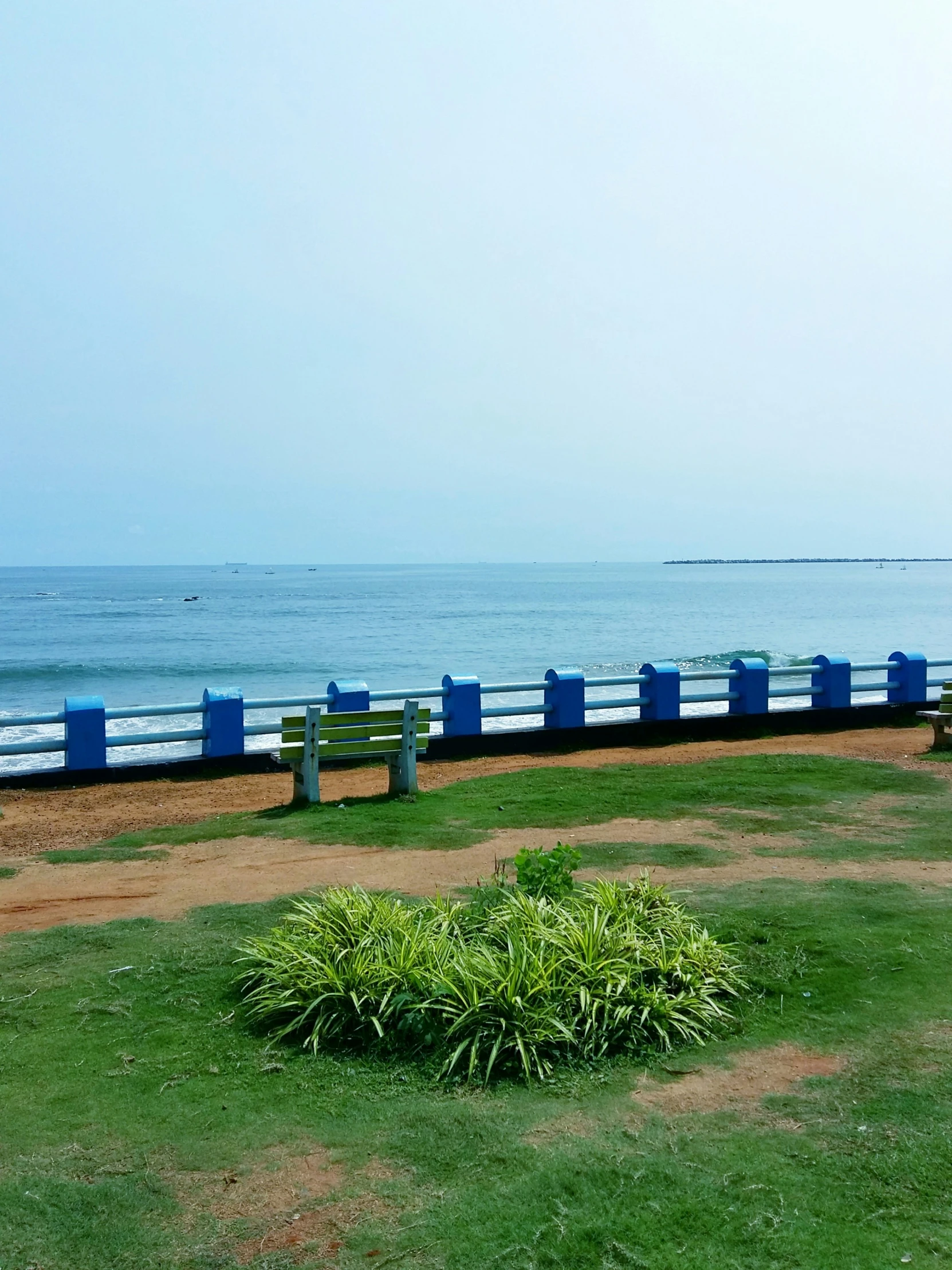 some benches and green bushes in the grass by the water