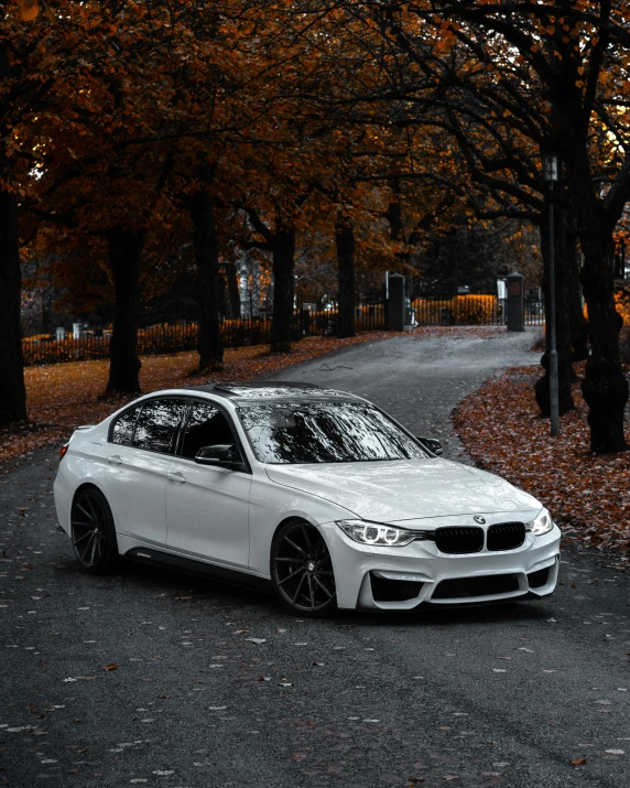 a white bmw on a road with trees in the background