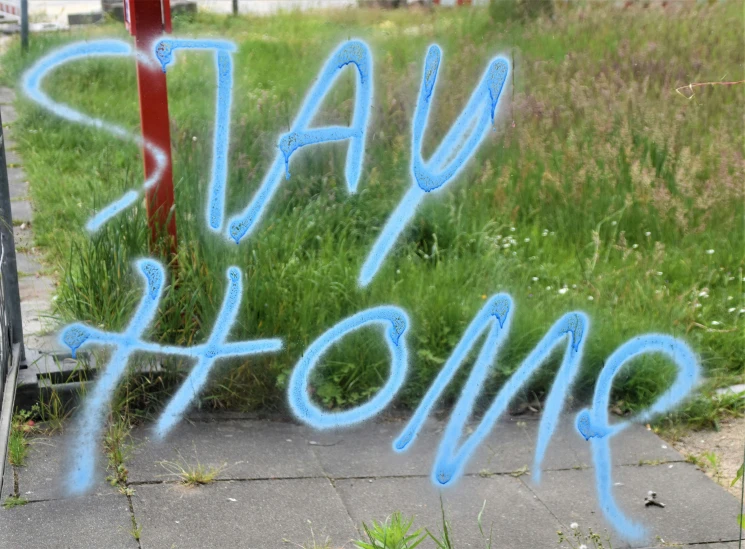 some grass bushes plants blue spray paint and the words stay home