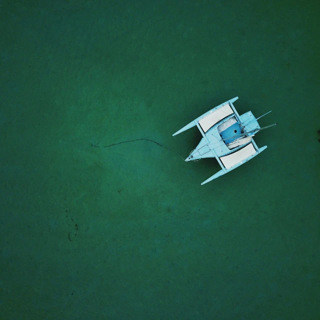 two white boats sitting in the water with green algae