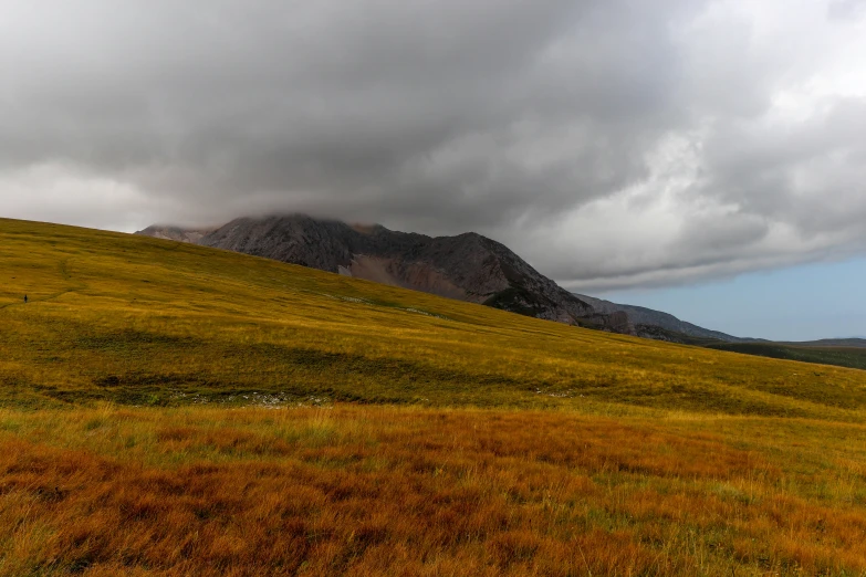 a grassy hill with grass and other land