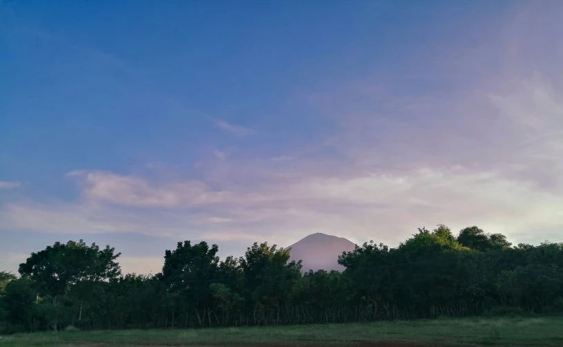 a view of a forest and a mountain from a river