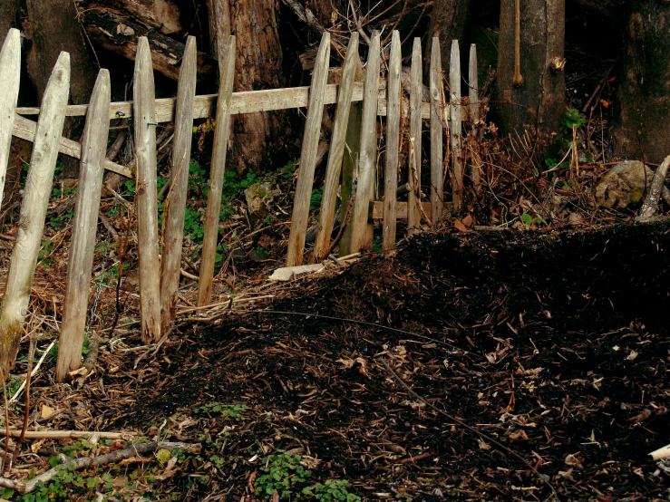 the fence with a wooden posts sits in front of a tree