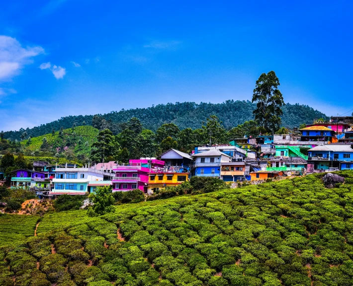 many houses on the hillside with some trees in front