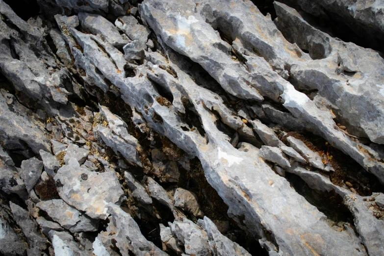 a large group of rocks with lichen growing on them