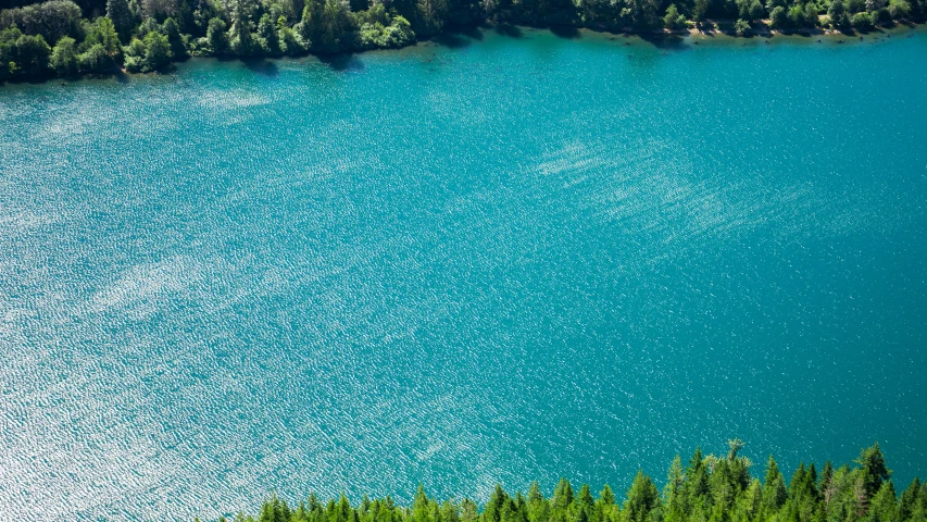 a view from above of water surrounded by trees