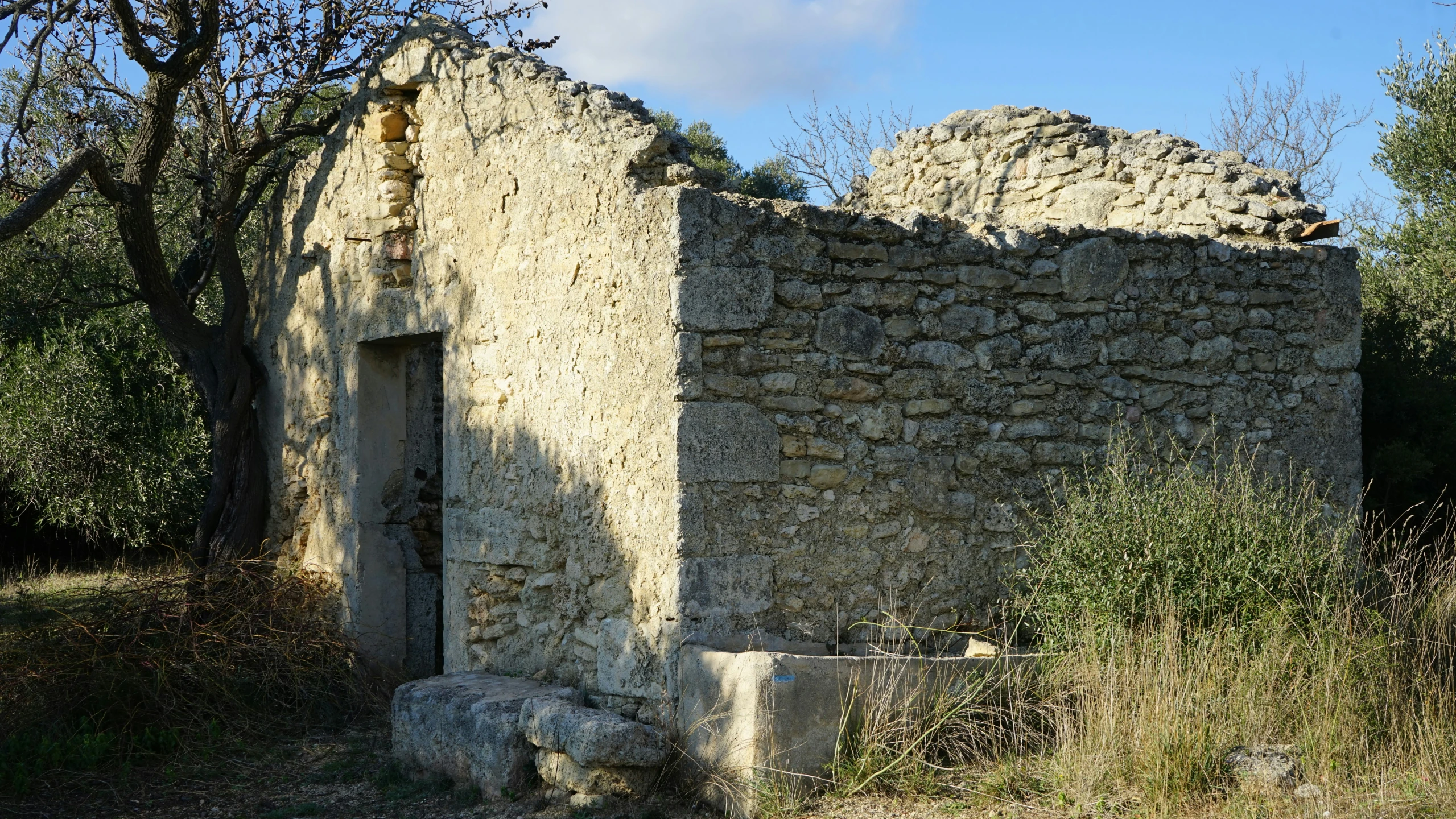a stone building in the middle of an overgrown field