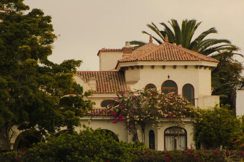 a large house with flowers growing from it