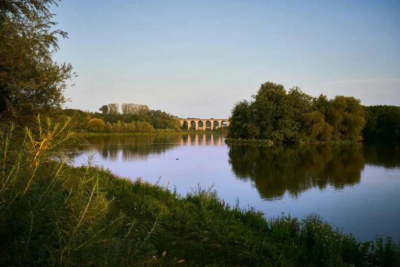 bridge over a lake surrounded by trees in the distance