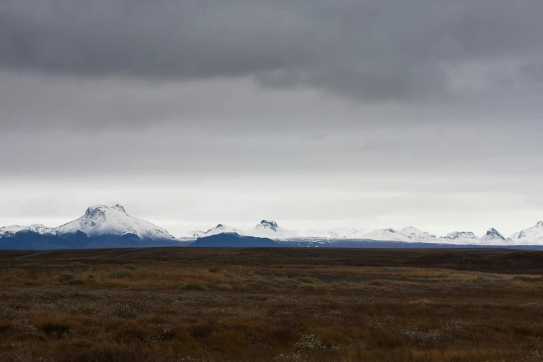 a lone horse on a grassy field with snow - capped mountains in the background