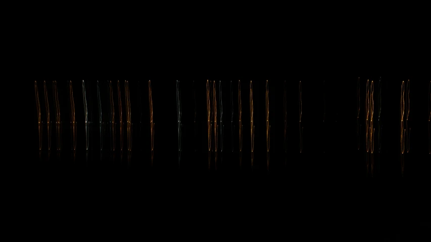 the trees are in the dark and reflecting water