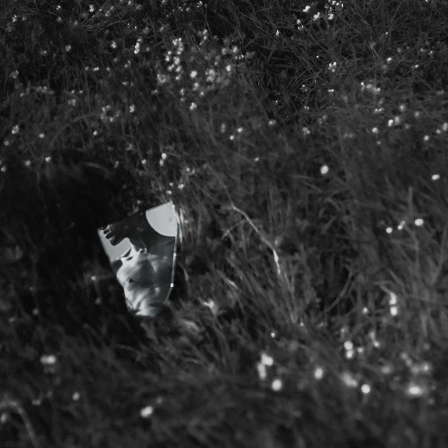 a baseball hat sitting in the grass next to a bush