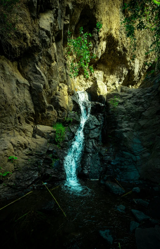 a waterfall with a bunch of trees growing along side it