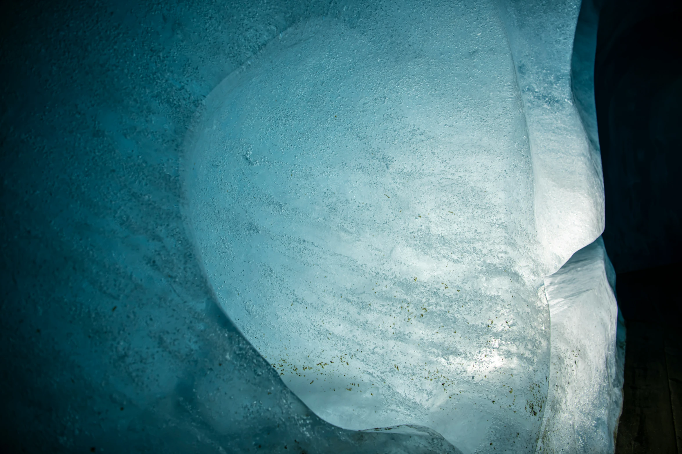 a white substance under water on the ground