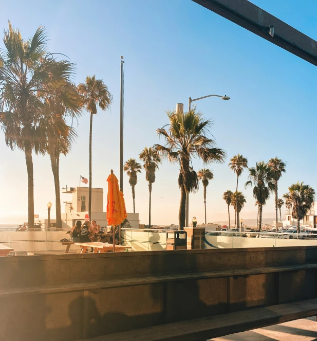 a few palm trees sit on a large pier near a busy beach