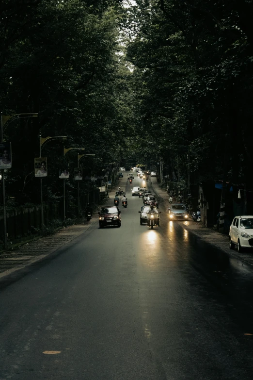 cars drive through an otherwise dark street lined with trees