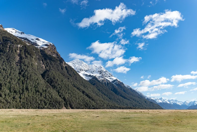 horse grazing in the middle of the mountain