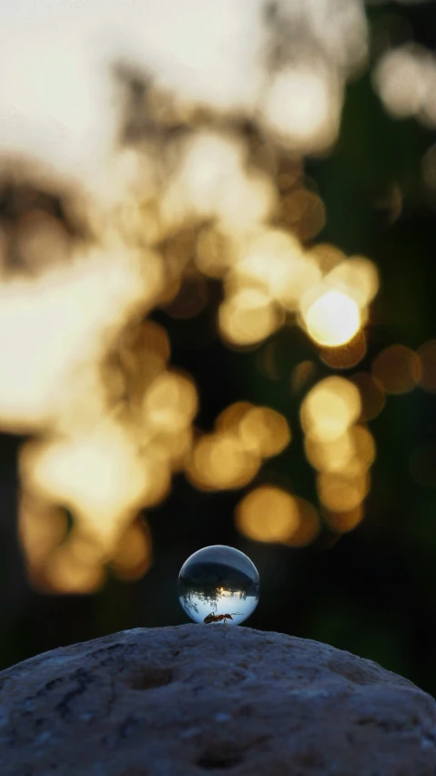 a soap ball is laying on top of a rock