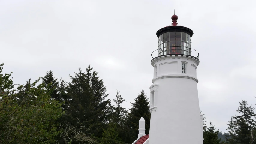 a lighthouse surrounded by trees on a cloudy day
