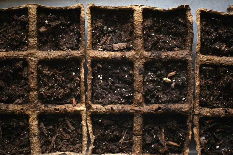 a group of boxes that are filled with dirt