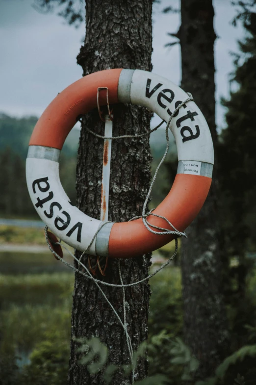 a life ring attached to a tree with an extra sign in the background