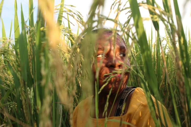 a person is staring through the tall grass