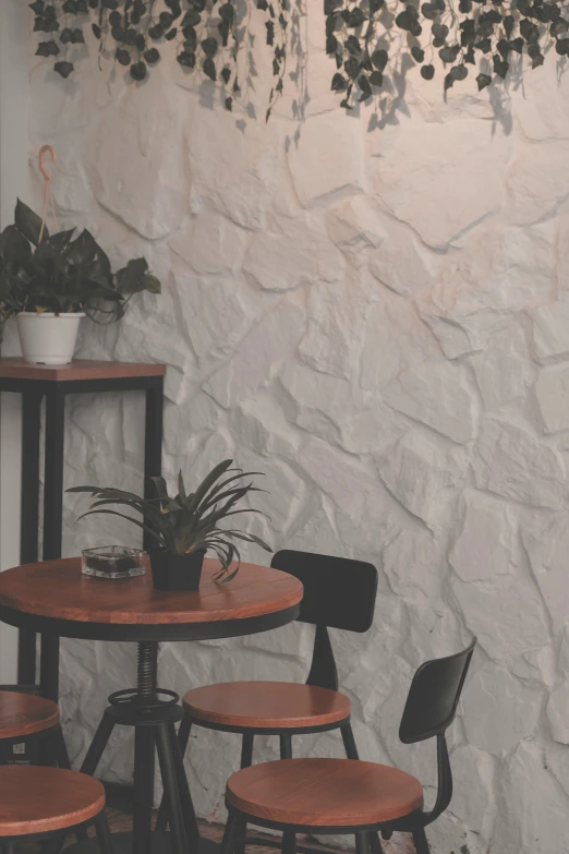 two tables with chairs and a potted plant