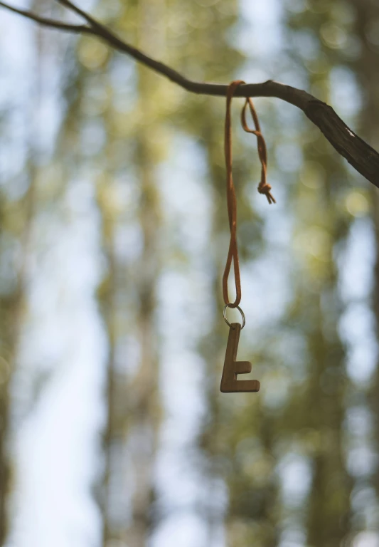 a key hanging from a wooden nch in a forest